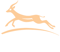 msafiri travel